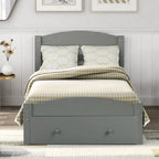 Twin Platform Bed Frame with Storage Drawer, for 1